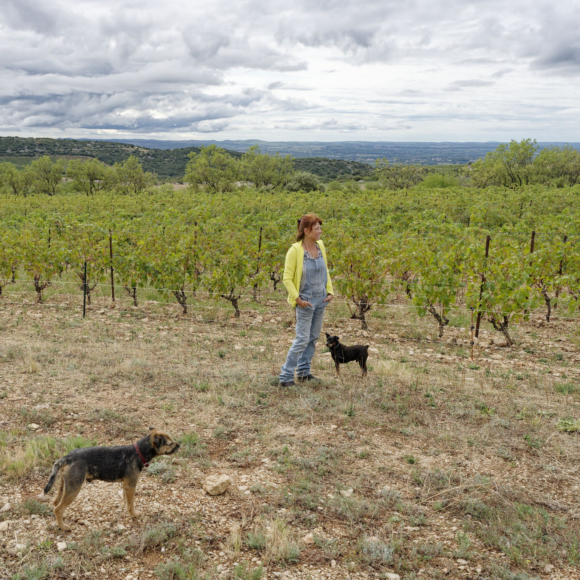 La Jasse Castel Pascale Rivière at La Jasse vineyard