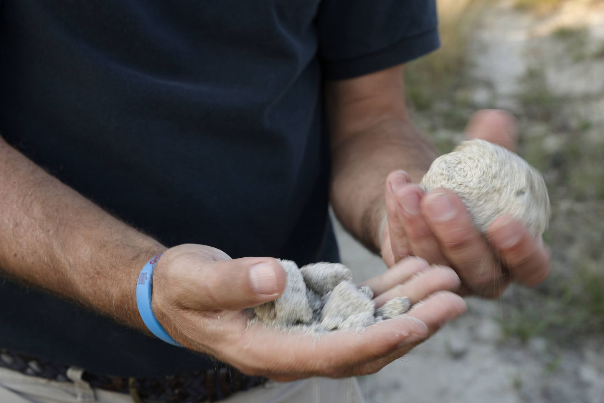 chateau guilhem malepère soil