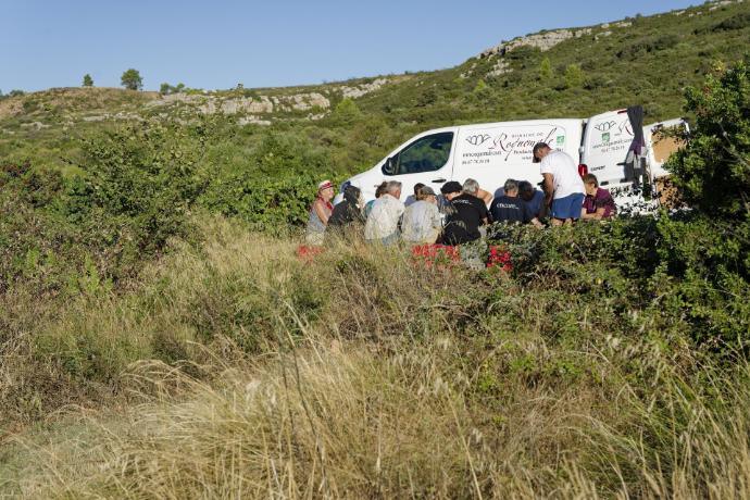 Domaine de roquemale winery harvest team breakfast
