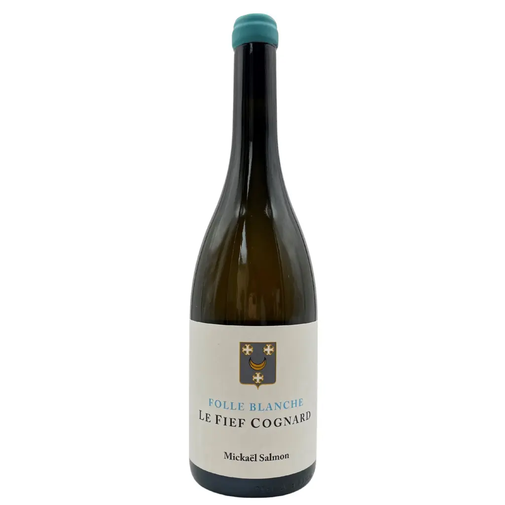 Le Fief Cognard Bio 2023 Folle Blanche Domaine Lucas Salmon