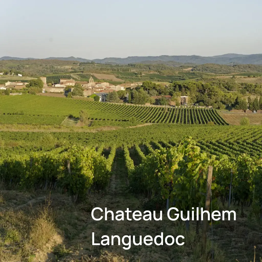 Pack dégustation Chateau Guilhem